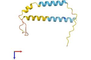 AlphaFold protein structure predicition of Mouse Recombinant Pmaip1 Protein, UniprotID Q9JM54