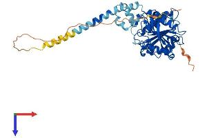 AlphaFold protein structure predicition of Human Recombinant ABHD12 Protein, UniprotID Q8N2K0