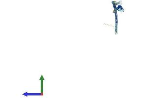 AlphaFold protein structure predicition of Human Recombinant TCHP Protein, UniprotID Q9BT92