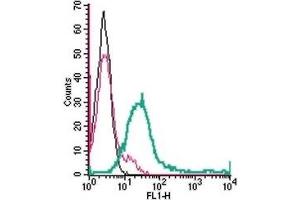 Cell surface detection of GPR171 in live intact human Jurkat T-cell leukemia cells: (black line) Cells.