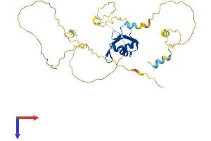 AlphaFold protein structure predicition of Human Recombinant NUP35 Protein, UniprotID Q8NFH5