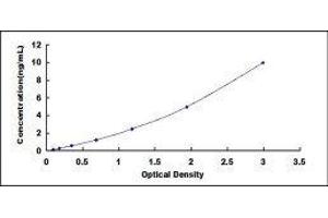 Lipase Maturation Factor 1 (LMF1) ELISA Kit