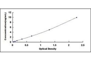 Typical standard curve (ASMT Kit ELISA)
