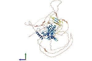 AlphaFold protein structure predicition of Human Recombinant CARF Protein, UniprotID Q8N187