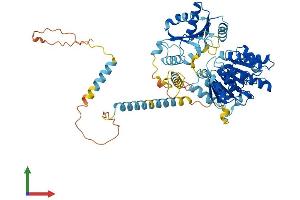 AlphaFold protein structure predicition of Human Recombinant DDX41 Protein, UniprotID Q9UJV9