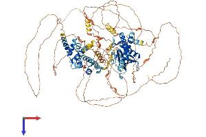 AlphaFold protein structure predicition of Mouse Recombinant Psd Protein, UniprotID Q5DTT2