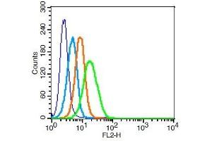 Human U937 cells probed withCXCR4 Polyclonal Antibody, Unconjugated  at 1:100 for 30 minutes followed by incubation with a PE conjugated secondary (green) for 30 minutes compared to control cells (blue), secondary only (light blue) and isotype control (orange).