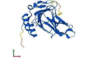 AlphaFold protein structure predicition of Human Recombinant CDO1 Protein, UniprotID Q16878