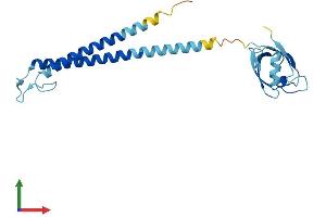 AlphaFold protein structure predicition of Mouse Recombinant Psmd9 Protein, UniprotID Q9CR00