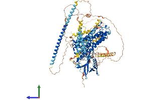 AlphaFold protein structure predicition of Mouse Recombinant Arhgef2 Protein, UniprotID Q60875