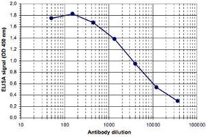 ELISA was performed using a serial dilution of Ctr9 polyclonal antibody . (CTR9 anticorps)