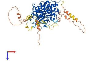 AlphaFold protein structure predicition of Mouse Recombinant Map3k8 Protein, UniprotID Q07174
