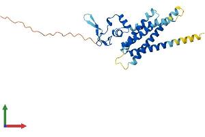 AlphaFold protein structure predicition of Human Recombinant ARV1 Protein, UniprotID Q9H2C2