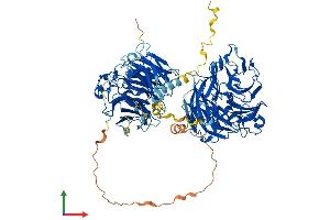 AlphaFold protein structure predicition of Mouse Recombinant Coro7 Protein, UniprotID Q9D2V7
