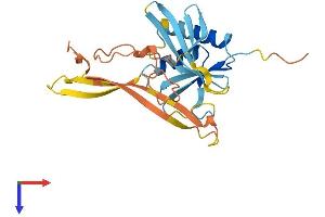 AlphaFold protein structure predicition of Mouse Recombinant Oaz3 Protein, UniprotID Q9R109