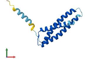 AlphaFold protein structure predicition of Human Recombinant TMEM170B Protein, UniprotID Q5T4T1