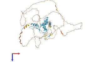 AlphaFold protein structure predicition of Human Recombinant GLIS2 Protein, UniprotID Q9BZE0