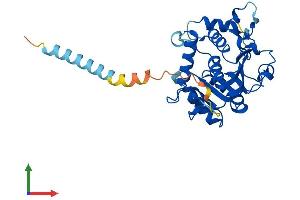 AlphaFold protein structure predicition of Human Recombinant ST6GALNAC4 Protein, UniprotID Q9H4F1