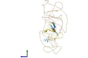 AlphaFold protein structure predicition of Human Recombinant ZC3H18 Protein, UniprotID Q86VM9