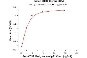 Immobilized Human CD38, His Tag (ABIN2180767,ABIN2180766) at 5 μg/mL (100 μL/well) can bind A MAb, Human IgG1 with a linear range of 0.