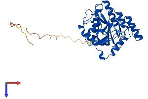 AlphaFold protein structure predicition of Mouse Recombinant B3galt6 Protein, UniprotID Q91Z92
