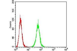 Flow cytometric analysis of Hela cells using P2RX7 mouse mAb (green) and negative control (red).