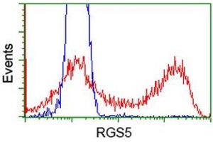 HEK293T cells transfected with either RC206857 overexpress plasmid (Red) or empty vector control plasmid (Blue) were immunostained by anti-RGS5 antibody (ABIN2454700), and then analyzed by flow cytometry. (RGS5 anticorps)