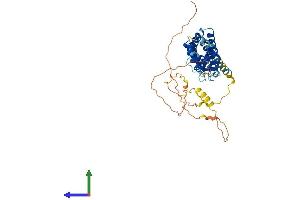 AlphaFold protein structure predicition of Human Recombinant PRR5L Protein, UniprotID Q6MZQ0