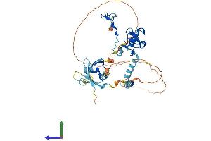 AlphaFold protein structure predicition of Mouse Recombinant Ring1 Protein, UniprotID O35730