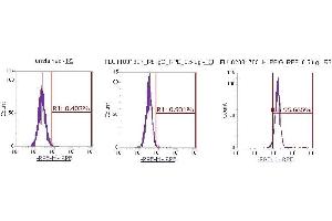 Flow Cytometry (FACS) image for anti-Peptidylprolyl Isomerase G (Cyclophilin G) (PPIG) (AA 1-175) antibody (PE) (ABIN5567270)