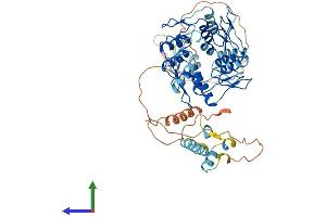 AlphaFold protein structure predicition of Human Recombinant ZNF565 Protein, UniprotID Q8N9K5