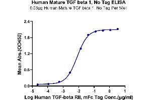 Immobilized Human Mature TGF beta 1, No Tag at 0. (TGFB1 Protéine)