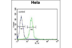Flow cytometric analysis of Hela cells (right histogram) compared to a negative control cell (left histogram). (EWSR1 anticorps  (C-Term))