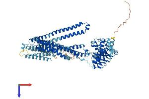 AlphaFold protein structure predicition of Human Recombinant ABCB9 Protein, UniprotID Q9NP78