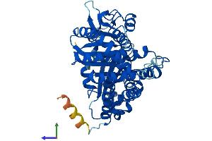 AlphaFold protein structure predicition of Human Recombinant TUBB6 Protein, UniprotID Q9BUF5