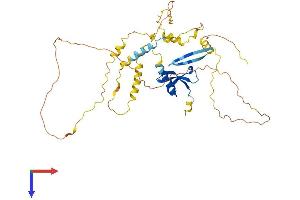 AlphaFold protein structure predicition of Mouse Recombinant Cbx6 Protein, UniprotID Q9DBY5
