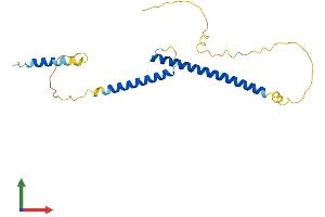 AlphaFold protein structure predicition of Mouse Recombinant Mxd3 Protein, UniprotID Q80US8
