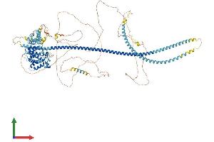 AlphaFold protein structure predicition of Human Recombinant TSC1 Protein, UniprotID Q92574