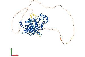 AlphaFold protein structure predicition of Mouse Recombinant Cdk19 Protein, UniprotID Q8BWD8