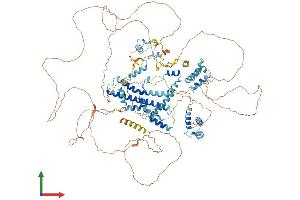 AlphaFold protein structure predicition of Mouse Recombinant Sugp2 Protein, UniprotID Q8CH09