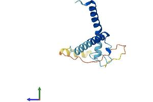 AlphaFold protein structure predicition of Human Recombinant LLPH Protein, UniprotID Q9BRT6