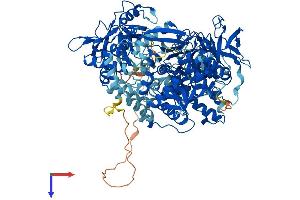 AlphaFold protein structure predicition of Human Recombinant IREB2 Protein, UniprotID P48200