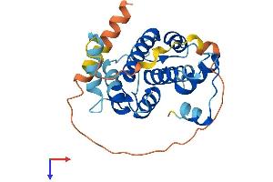AlphaFold protein structure predicition of Human Recombinant CAPNS2 Protein, UniprotID Q96L46