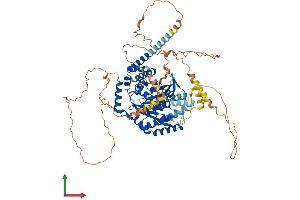 AlphaFold protein structure predicition of Mouse Recombinant Pnpla8 Protein, UniprotID Q8K1N1