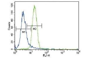 Parkin antibody flow cytometric analysis of NCI-H460 cells (right histogram) compared to a negative control (left histogram).
