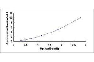 Endosulfine alpha (ENSA) ELISA Kit