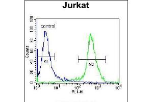 Flow cytometric analysis of Jurkat cells (right histogram) compared to a negative control cell (left histogram).