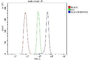 Flow Cytometry analysis of THP-1 cells using anti-SBCAD/ACADSB antibody (ABIN7602837). (ACADSB anticorps  (C-Term))