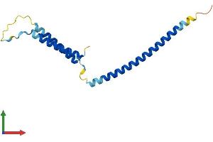 AlphaFold protein structure predicition of Human Recombinant MED21 Protein, UniprotID Q13503