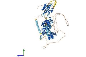 AlphaFold protein structure predicition of Human Recombinant KCNH1 Protein, UniprotID O95259